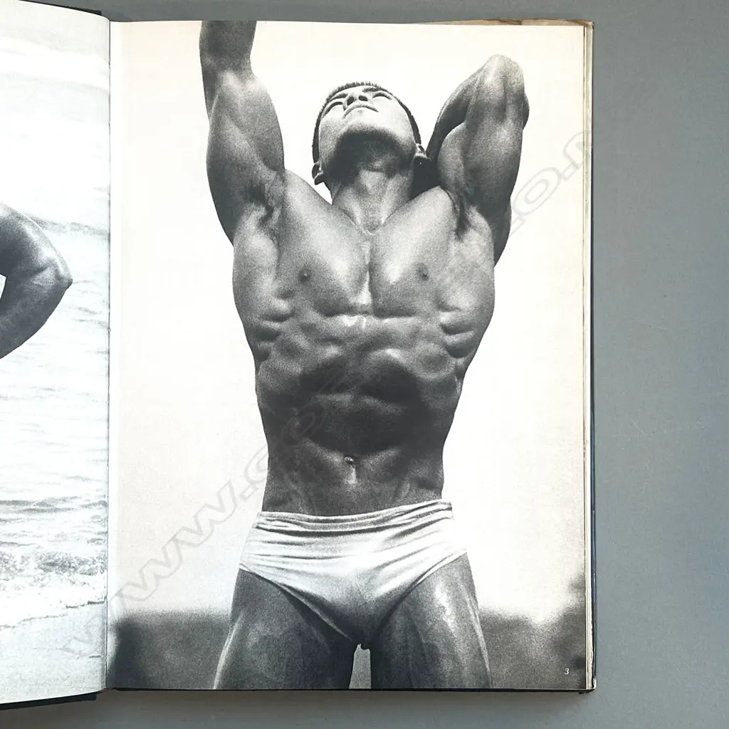 TAMOTSU YATO: YOUNG SAMURAI BODYBUILDERS OF JAPAN Image 1++